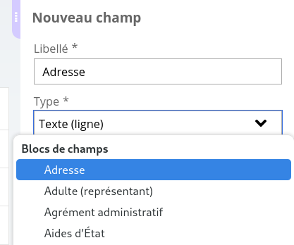 liste des types de champs avec un bloc de champ