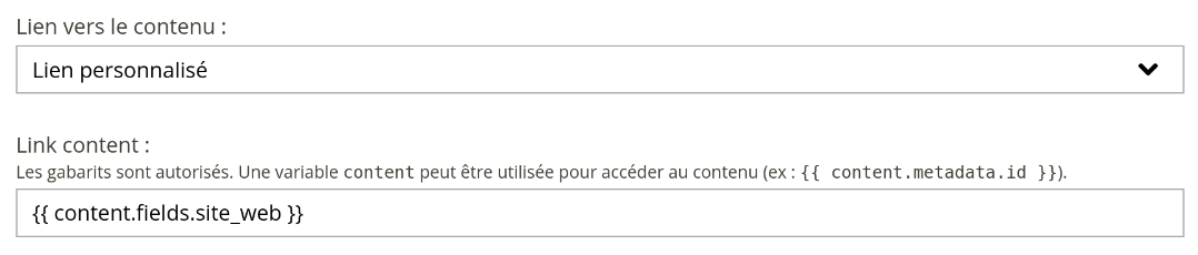 Capture d'écran du paramétrage du lien personnalisé